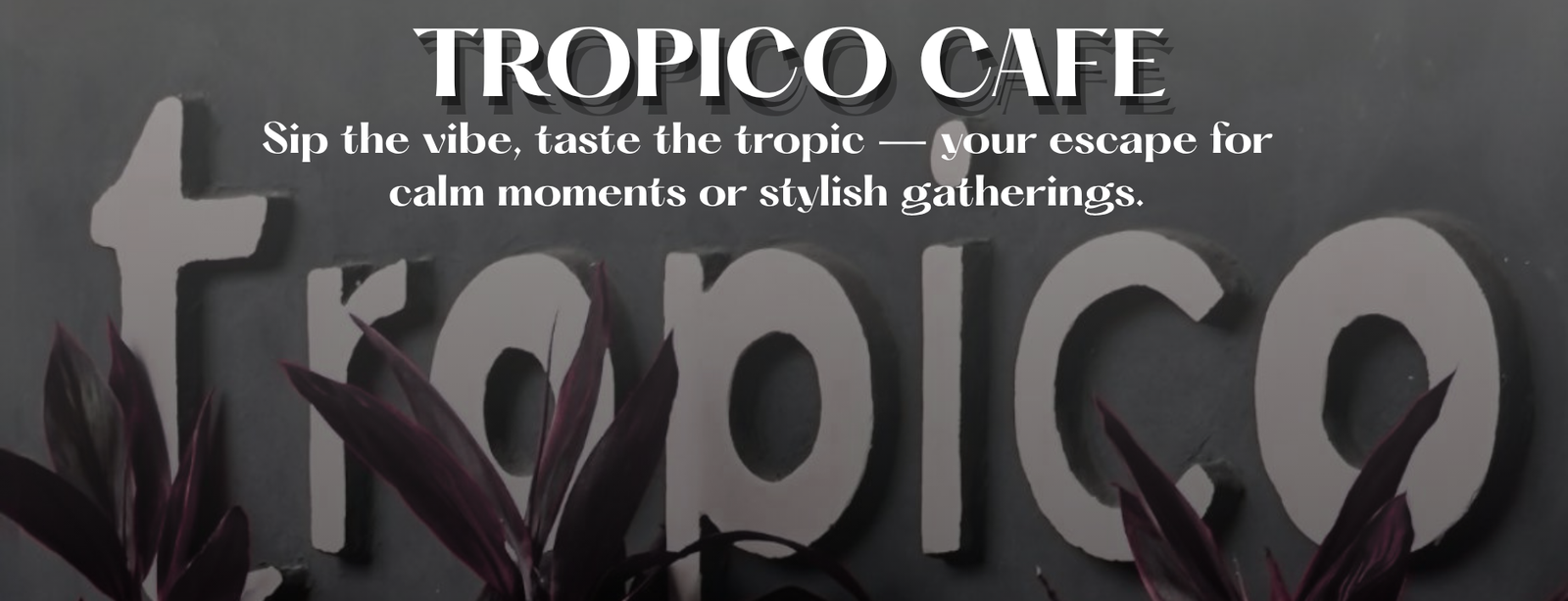 Sip the vibe, taste the tropic — your escape for calm moments or stylish gatherings.